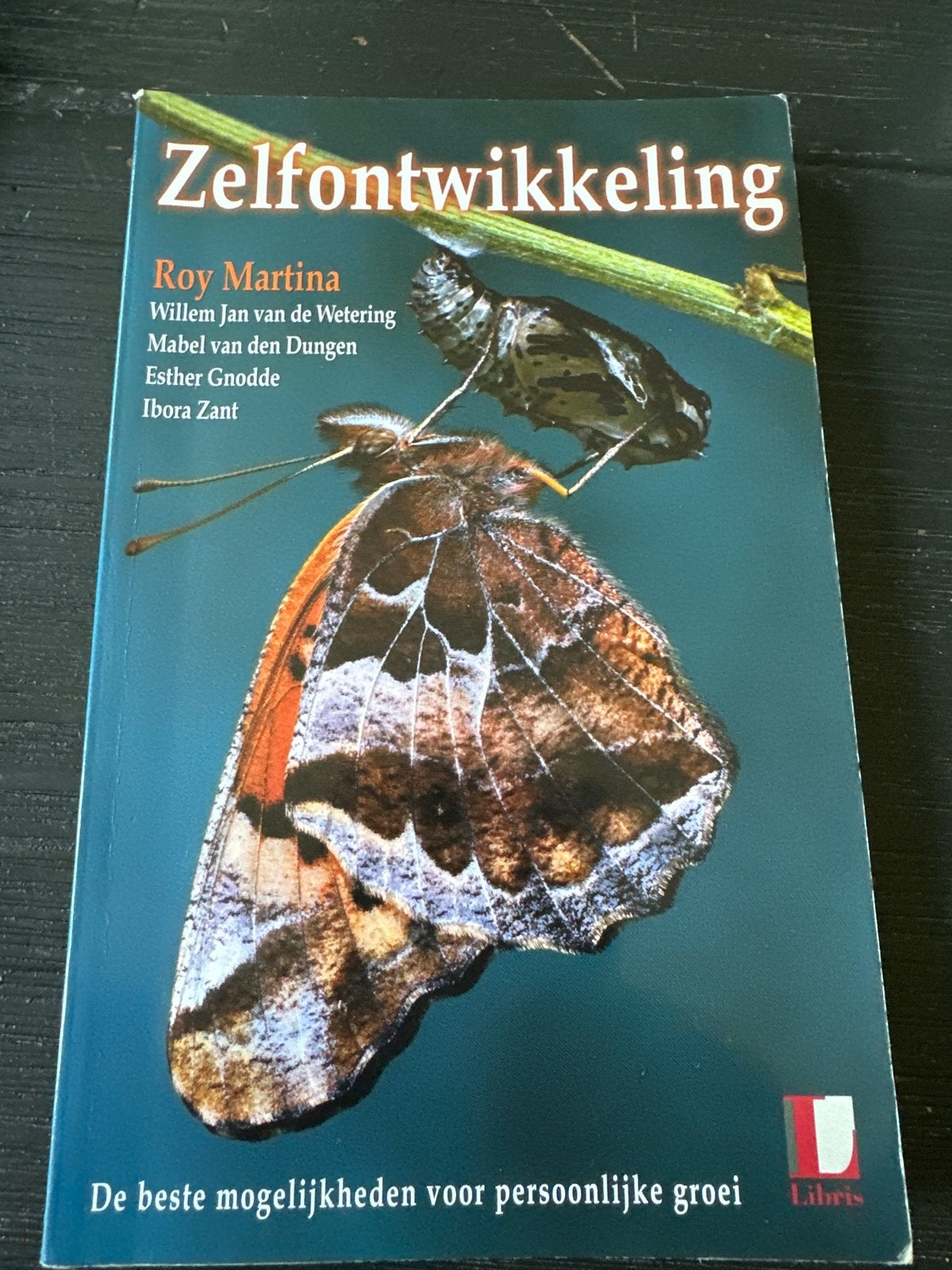 Zelfontwikkeling - De beste mogelijkheden voor persoonlijke, Boeken, Ophalen of Verzenden, Gelezen
