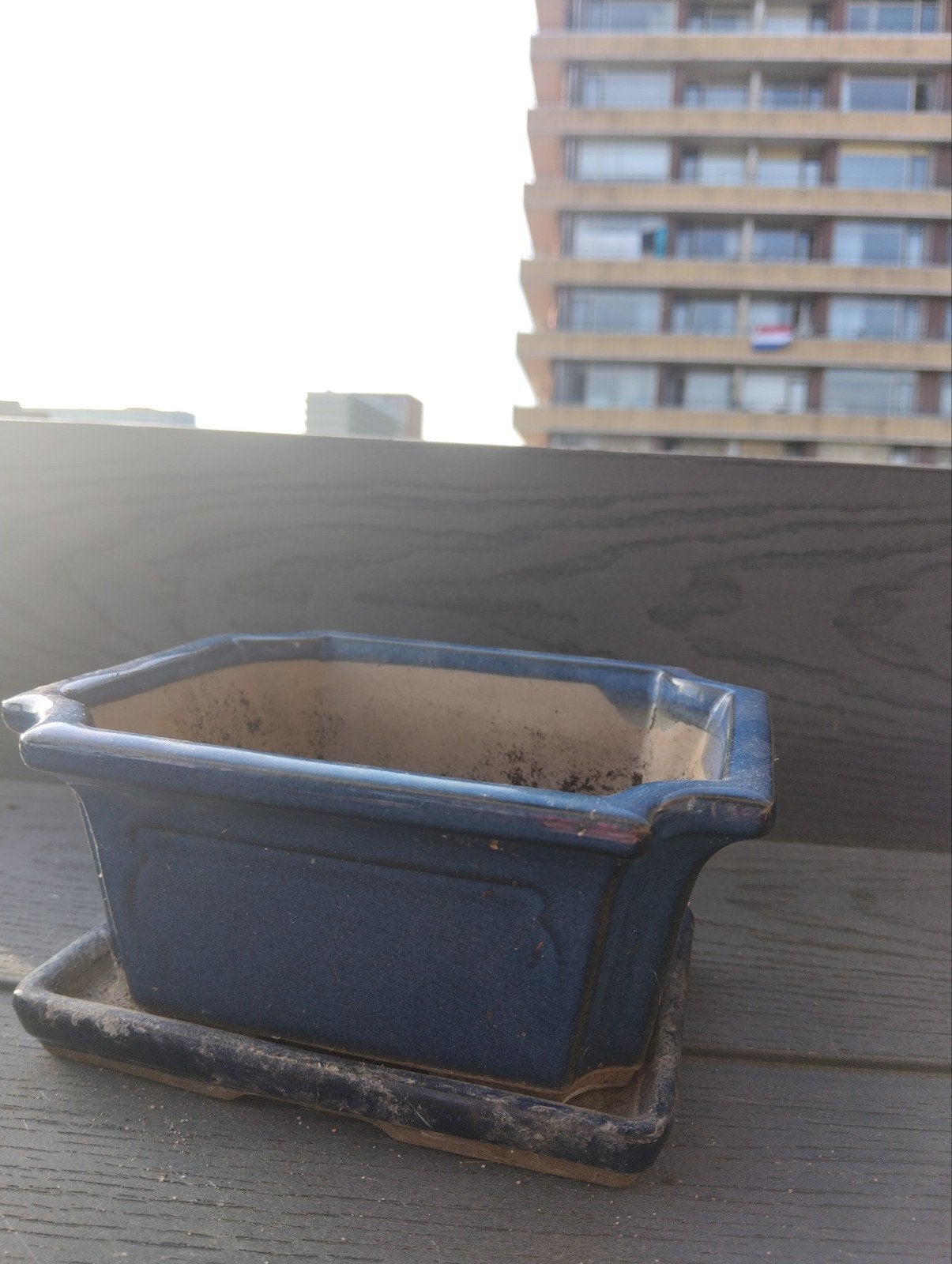 Blauwe Bonsai Pot met Schotel, Steen, Gebruikt, Minder dan 30 cm, Minder dan 60 cm