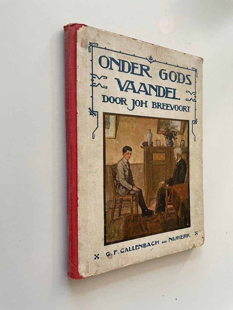 Onder Gods vaandel - Johanna Breevoort, Antiek en Kunst, Ophalen of Verzenden, Johanna Bredevoort