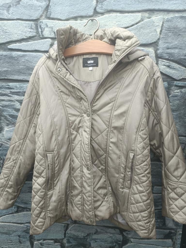 F.fashion gewatteerde jas met capuchon, Overige kleuren, Fashion, Maat 46/48 (XL) of groter, Ophalen of Verzenden