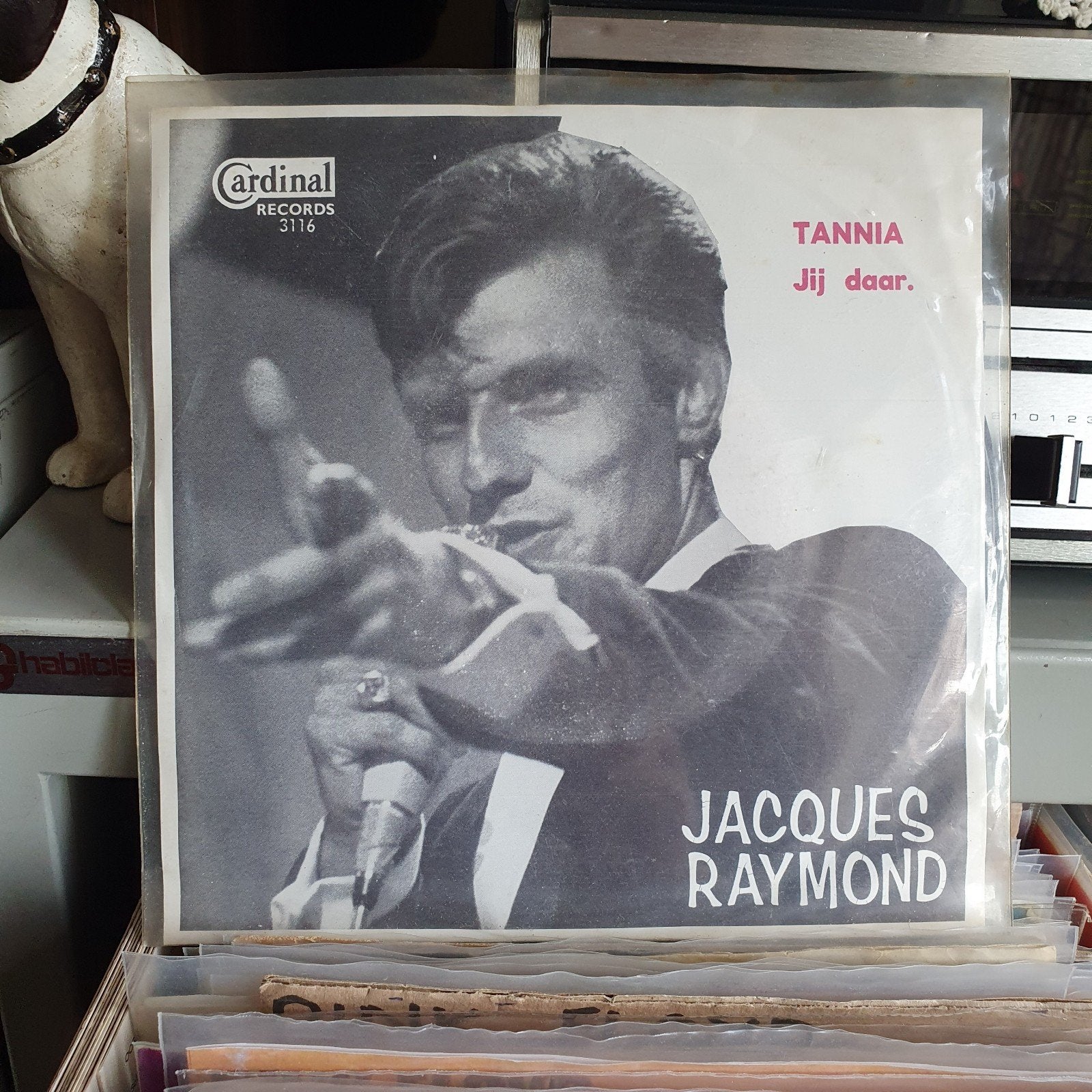 Jacques  Raymond - Tannia, Cd's en Dvd's, Ophalen of Verzenden, Zo goed als nieuw, Overige formaten, Levenslied of Smartlap