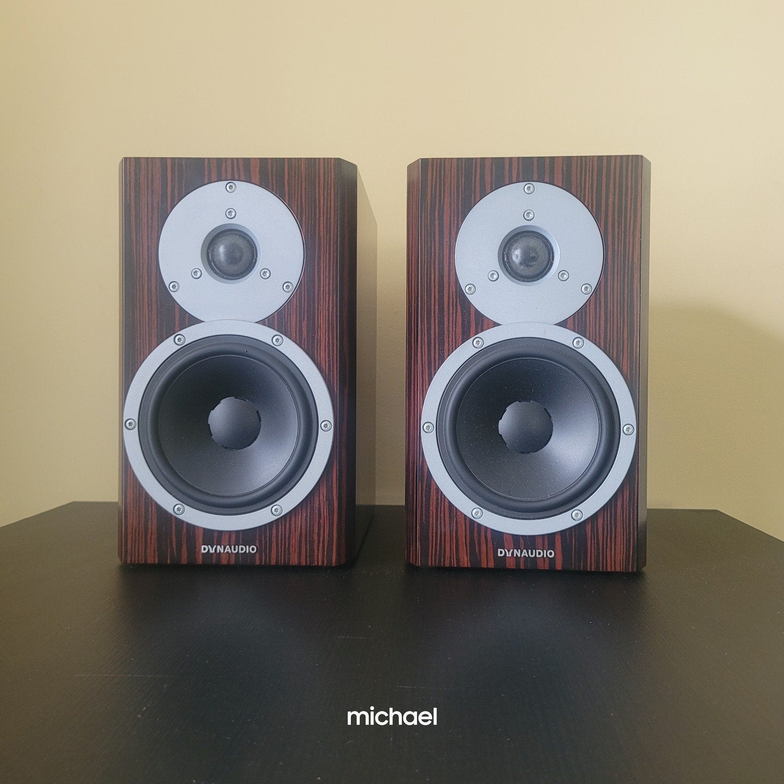 Dynaudio Excite X14A, Overige merken, Ophalen of Verzenden, Zo goed als nieuw, 60 tot 120 watt