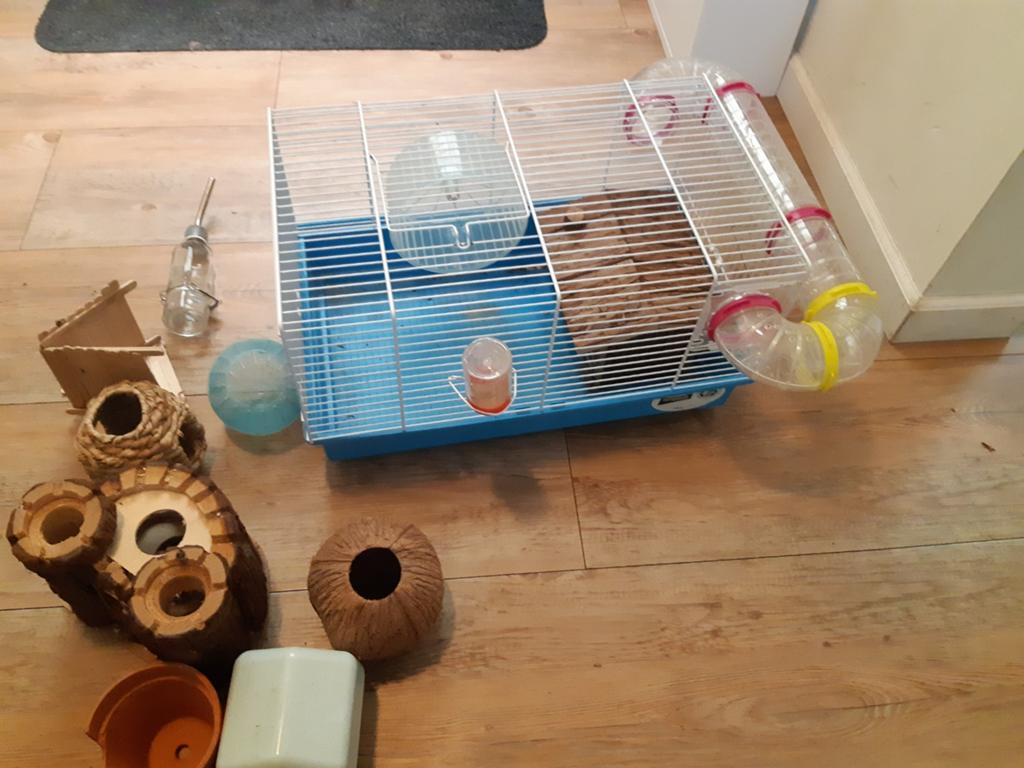 Hamsterkooi hamsterhok verblijf, Ophalen