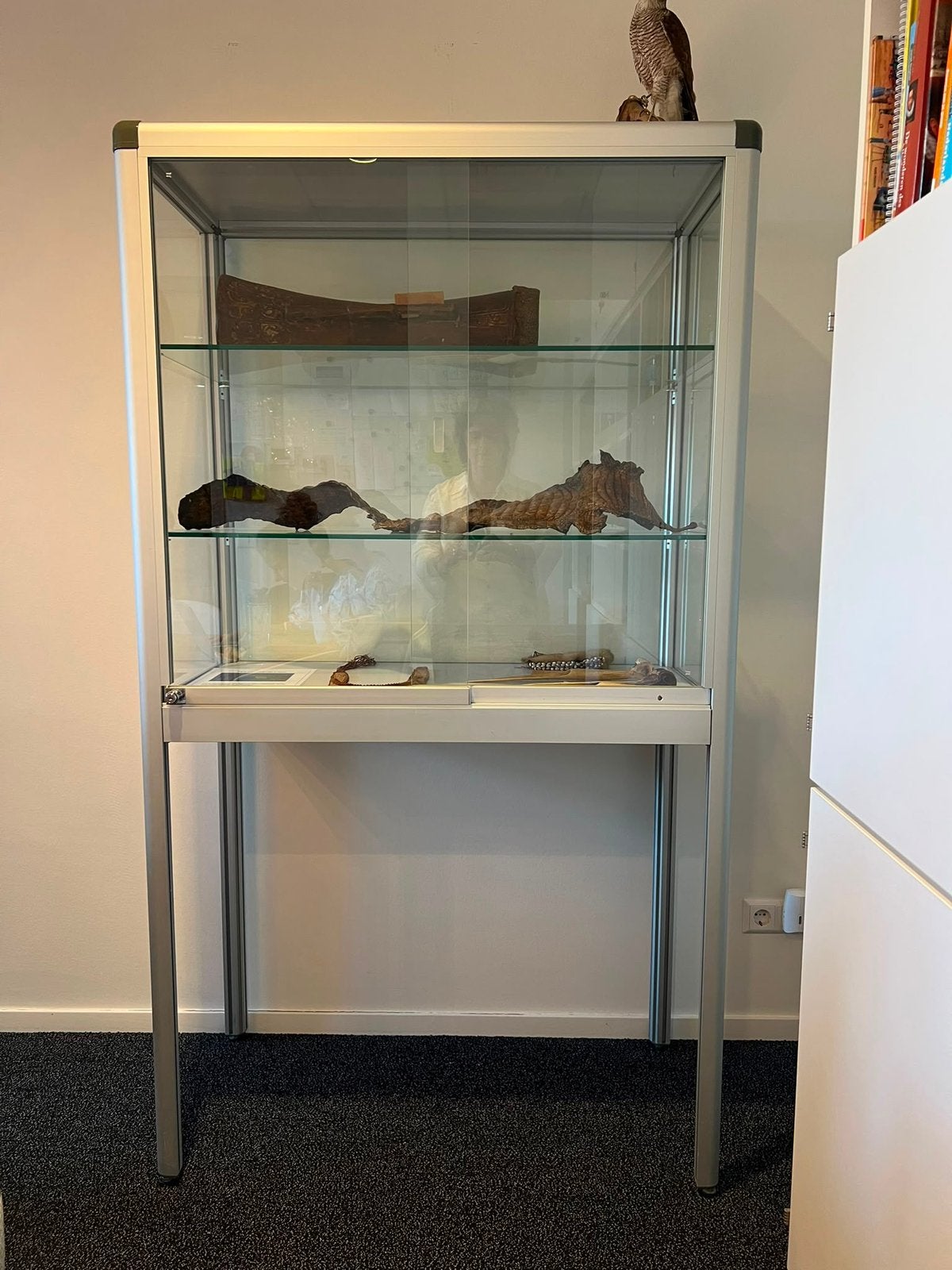 Prachtige aluminium vitrinekast, Huis en Inrichting, Kasten | Vitrinekasten, Ophalen, 50 tot 100 cm, Strak- professionele kast