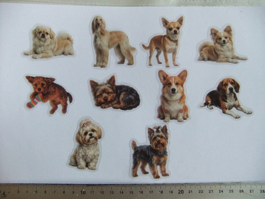 10 polypropyleen hondenstickers set 5, Verzenden