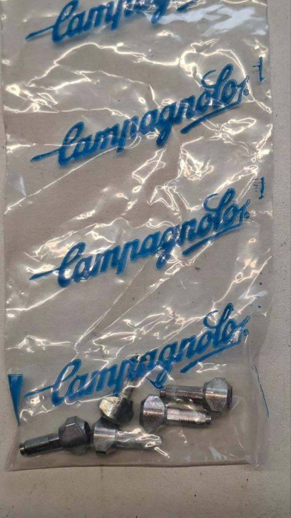 NOS Campagnolo derailleur / kabel schroeven, Ophalen of Verzenden, Nieuw, Overige typen