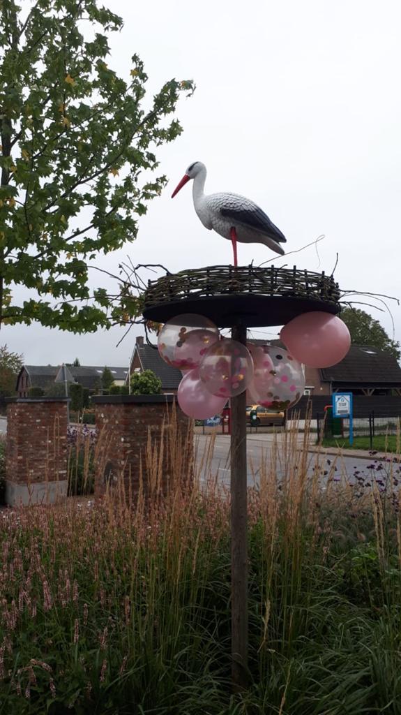 Geboorte ooievaar te koop, Kinderen en Baby's, Ophalen, Zo goed als nieuw, Geboortebord