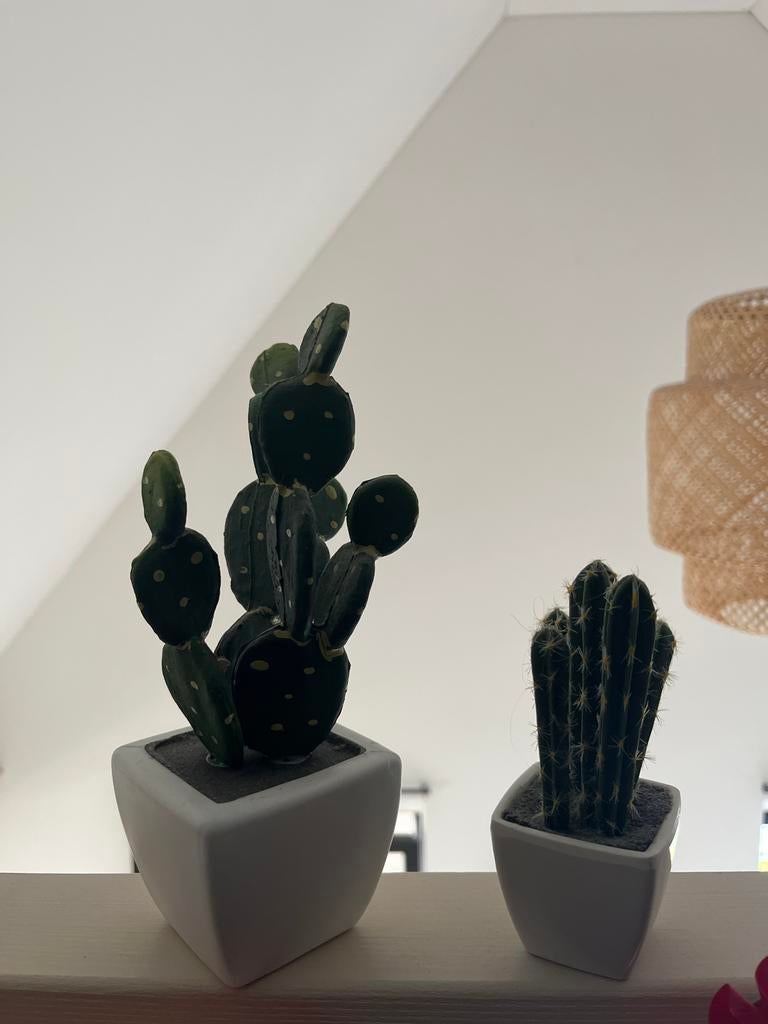 Decoratieve Nep Cactus in Witte Pot - Set van 2, Ophalen of Verzenden, Nieuw, Kunststof, Overige typen