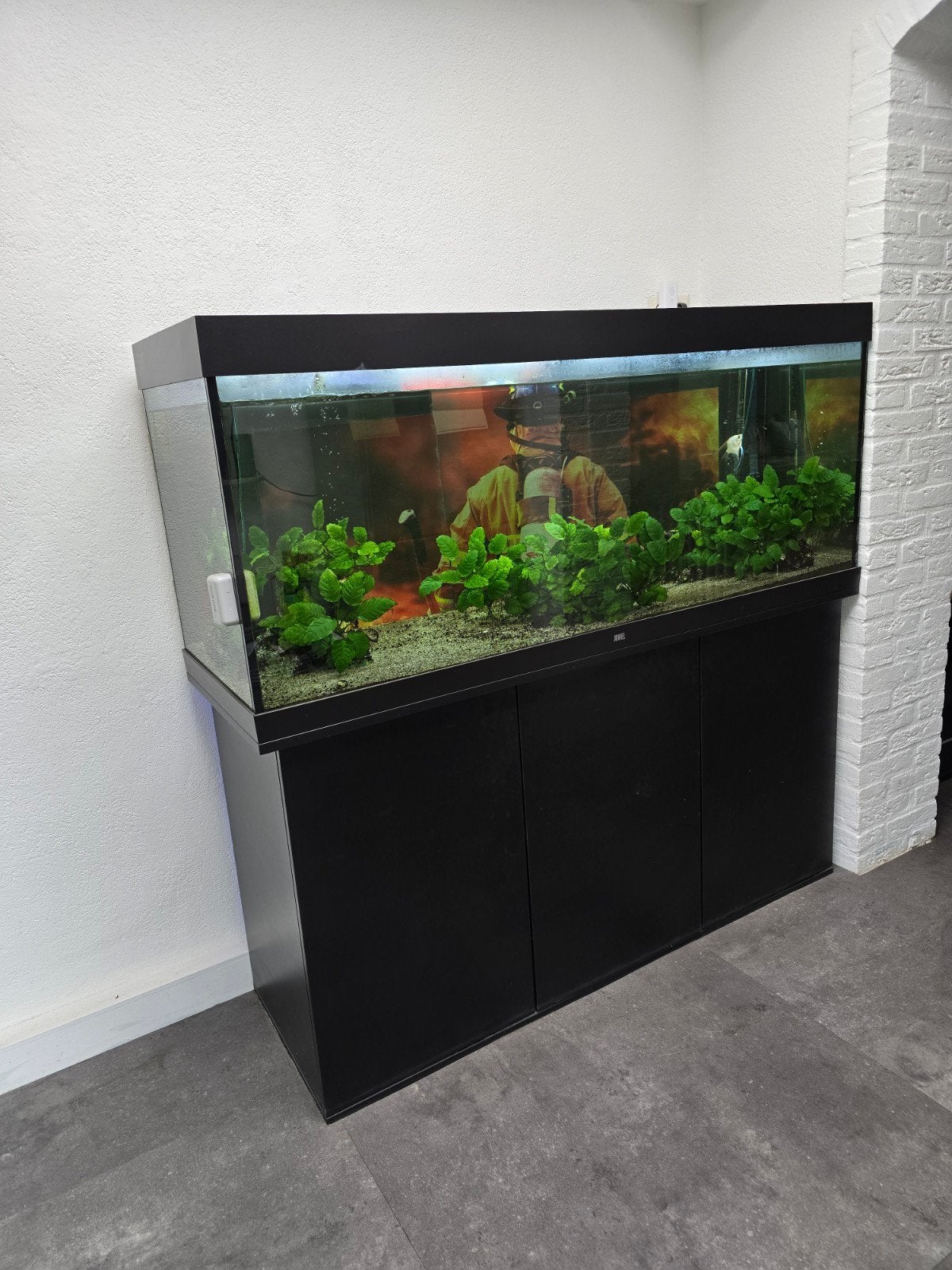 Juwel 450 compleet aquarium inclusief onderkast., Ophalen, Gebruikt, Gevuld zoetwateraquarium, Inclusief vissen