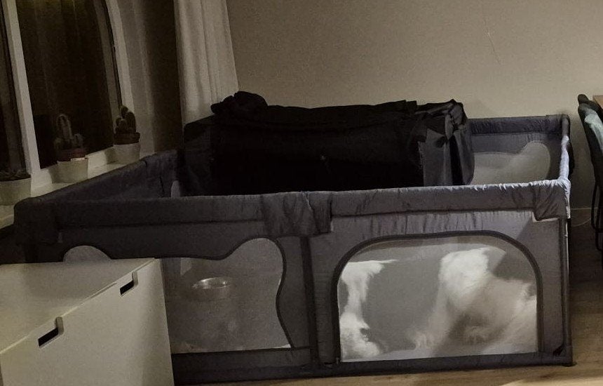 Honden Ren/Kennel/grondbox/Bench..., Ophalen of Verzenden, Zo goed als nieuw