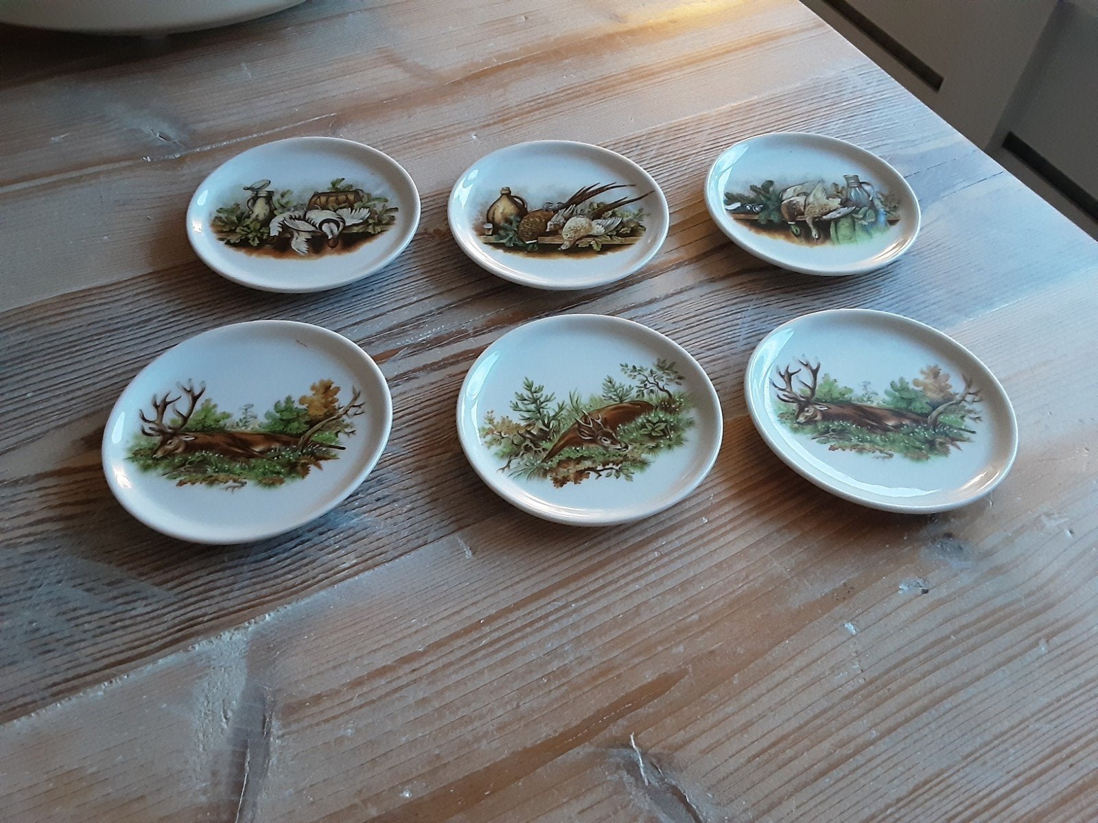 6 leuke schoteltjes met wild afbeelding., Ophalen of Verzenden