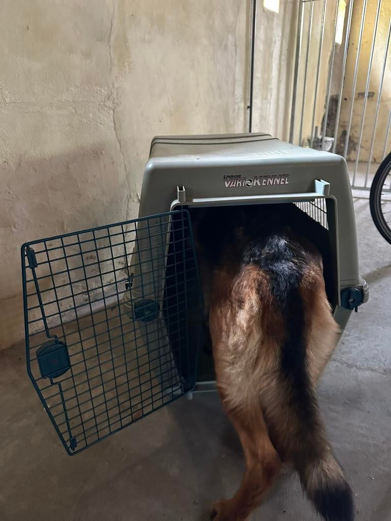 Vari hondenkennel, Dieren en Toebehoren, Ophalen, Zo goed als nieuw