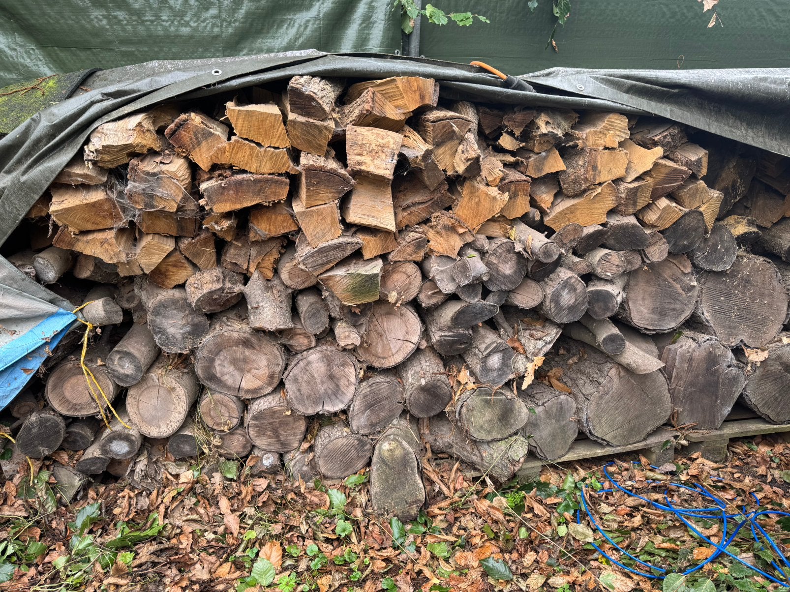 Gemengt brandhout 100€ / m3 eiken, kersen, appel en peren, Tuin en Terras, Haardhout, 3 tot 6 m³, Ophalen, Eikenhout, Blokken
