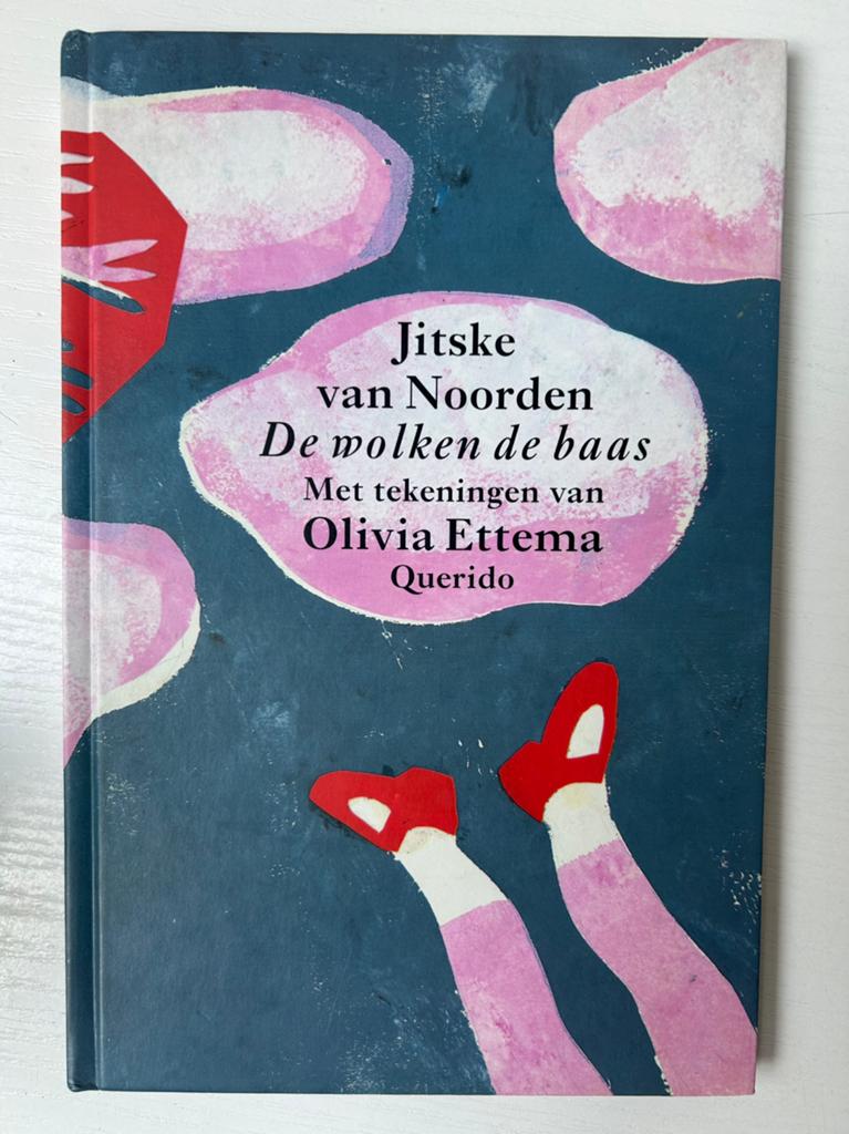 J. van Noorden - De wolken de baas, Boeken, Gelezen, Fictie algemeen, J. van Noorden, Ophalen of Verzenden