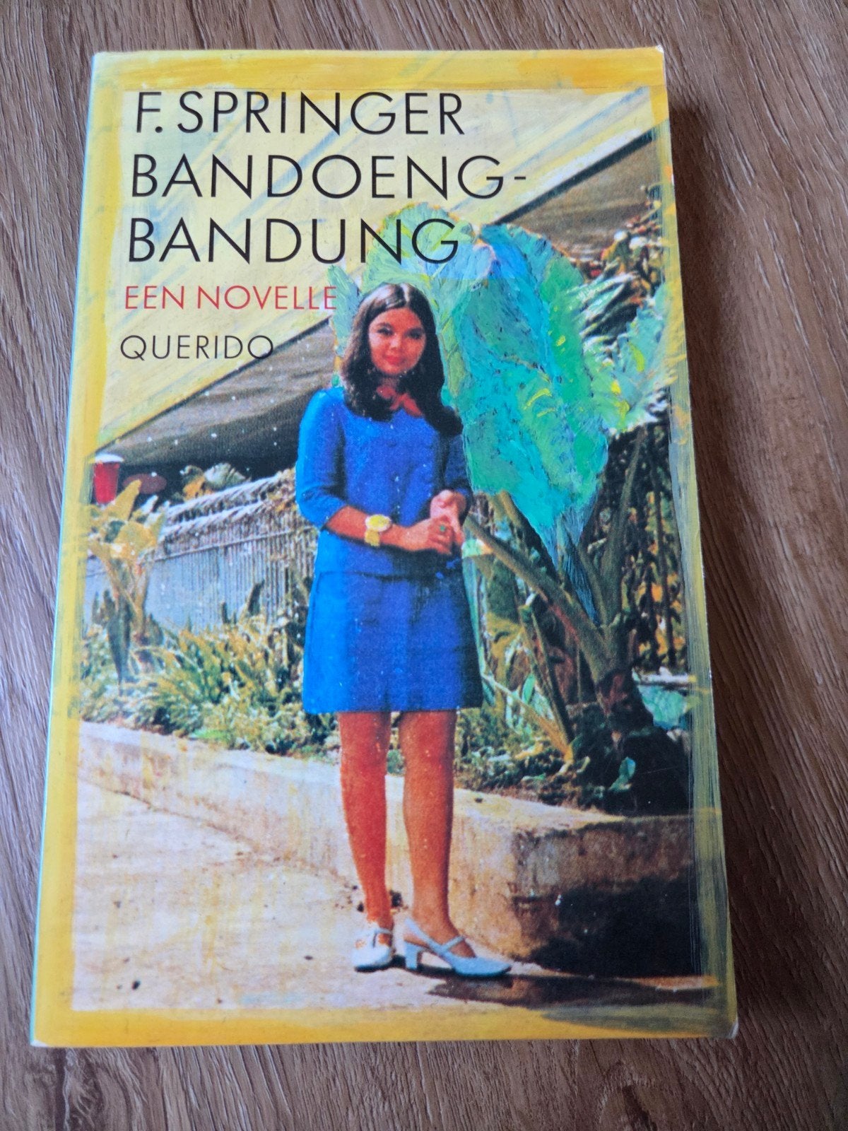 F. Springer - Bandoeng-Bandung, Boeken, Ophalen of Verzenden, Zo goed als nieuw, F. Springer, Nederland