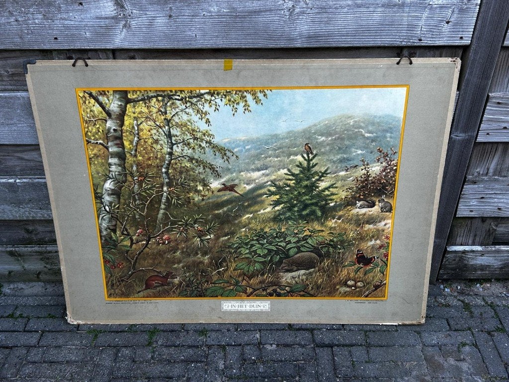 In het duin, Ophalen of Verzenden, Natuur en Biologie