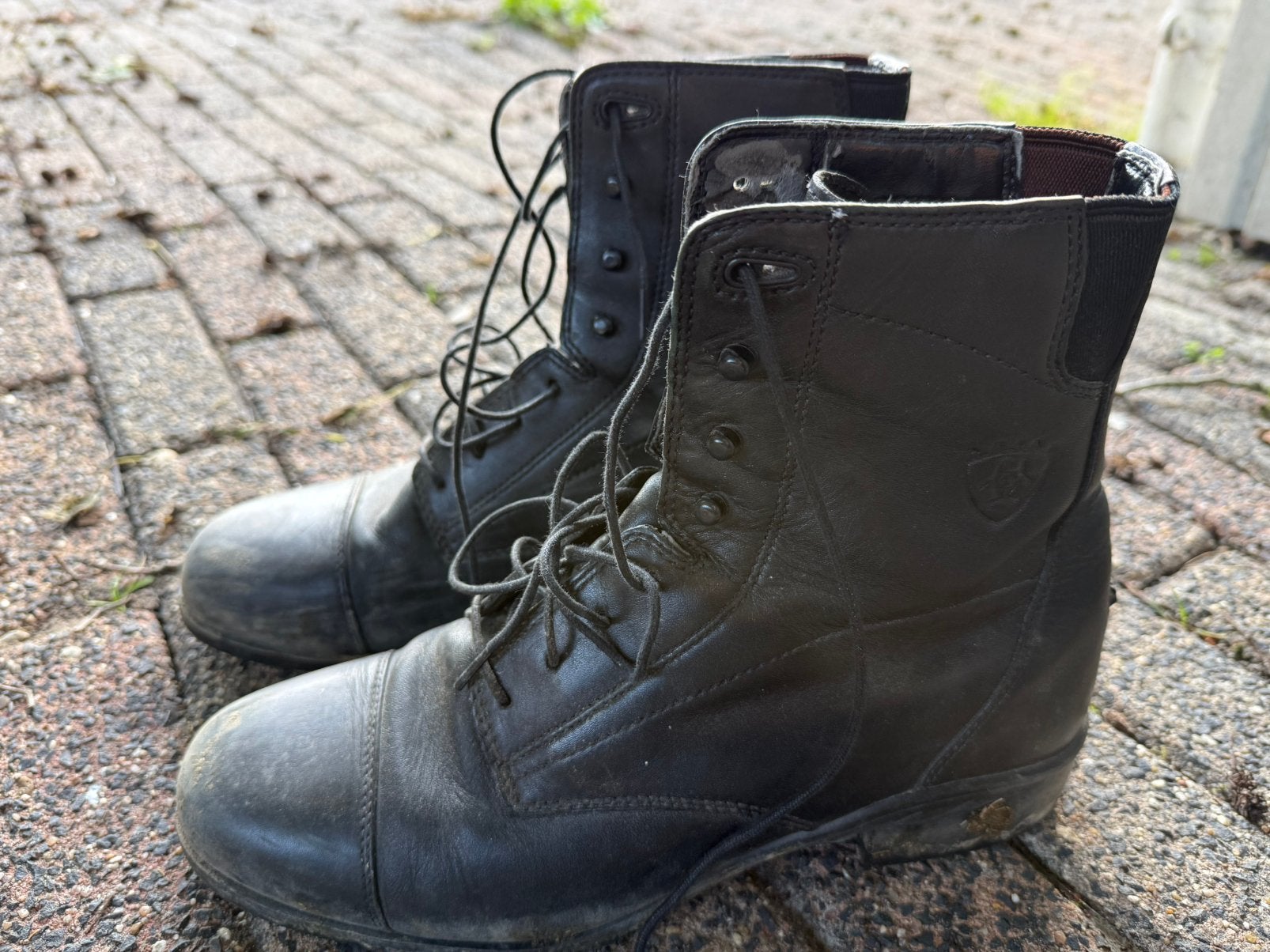 Ariat Jophurts maat 41, Dieren en Toebehoren, Met grip, Dressuur, Ophalen of Verzenden, Zwart