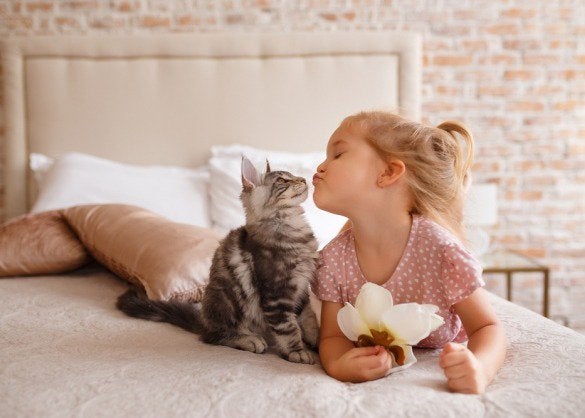 * Oppas aangeboden – kinderen & katten, Ophalen of Verzenden