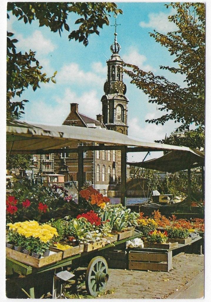 Amsterdam Bloemenmarkt gelopen Ansichtkaart ( y2850 ), Ophalen of Verzenden, 1980 tot heden, Noord-Holland