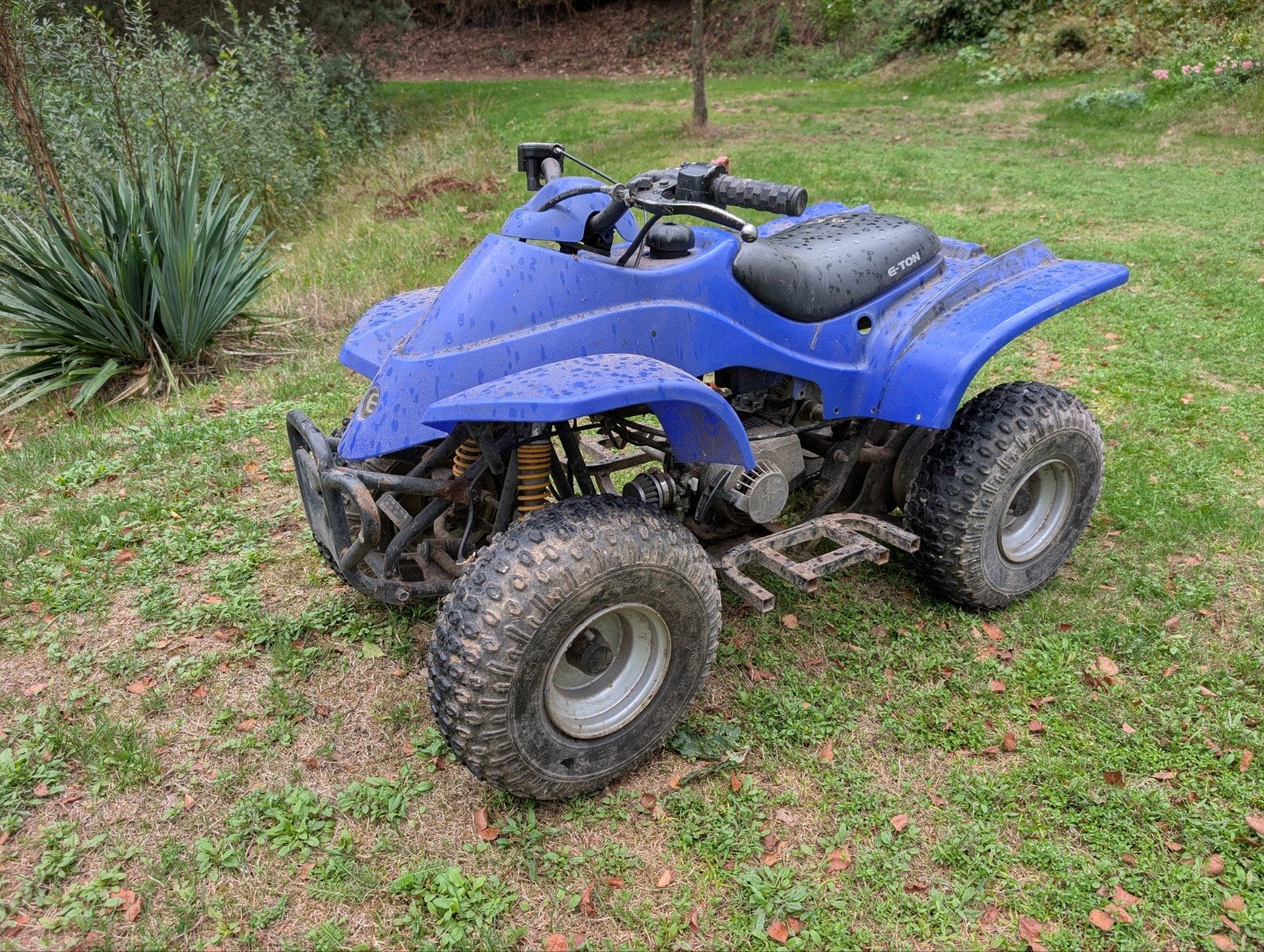 E-Ton 50cc quad opknapper ,loop sloop ,project, Ophalen, Gebruikt, Overige typen