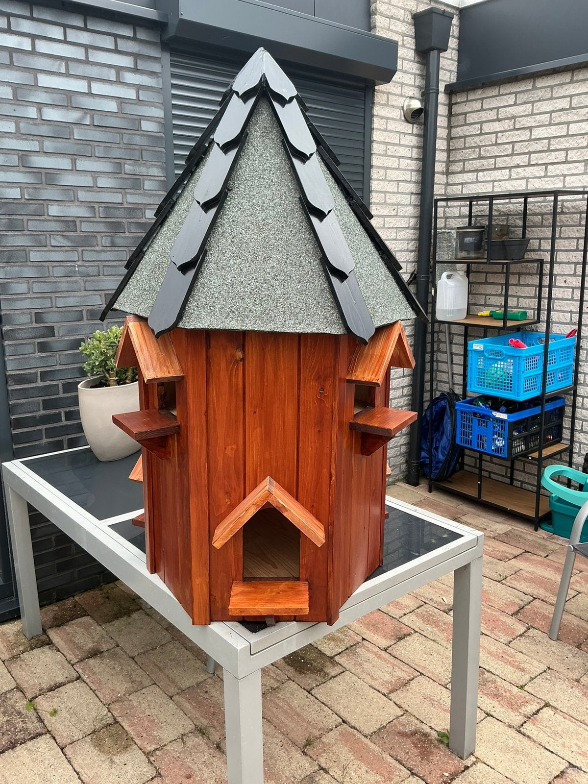 Duiventil, Meerdere dieren, Postduif