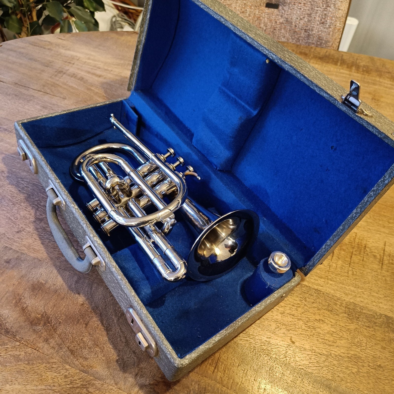 zondervondst Schenkelaars muziek instrument, Ophalen of Verzenden, Gebruikt, Overige typen