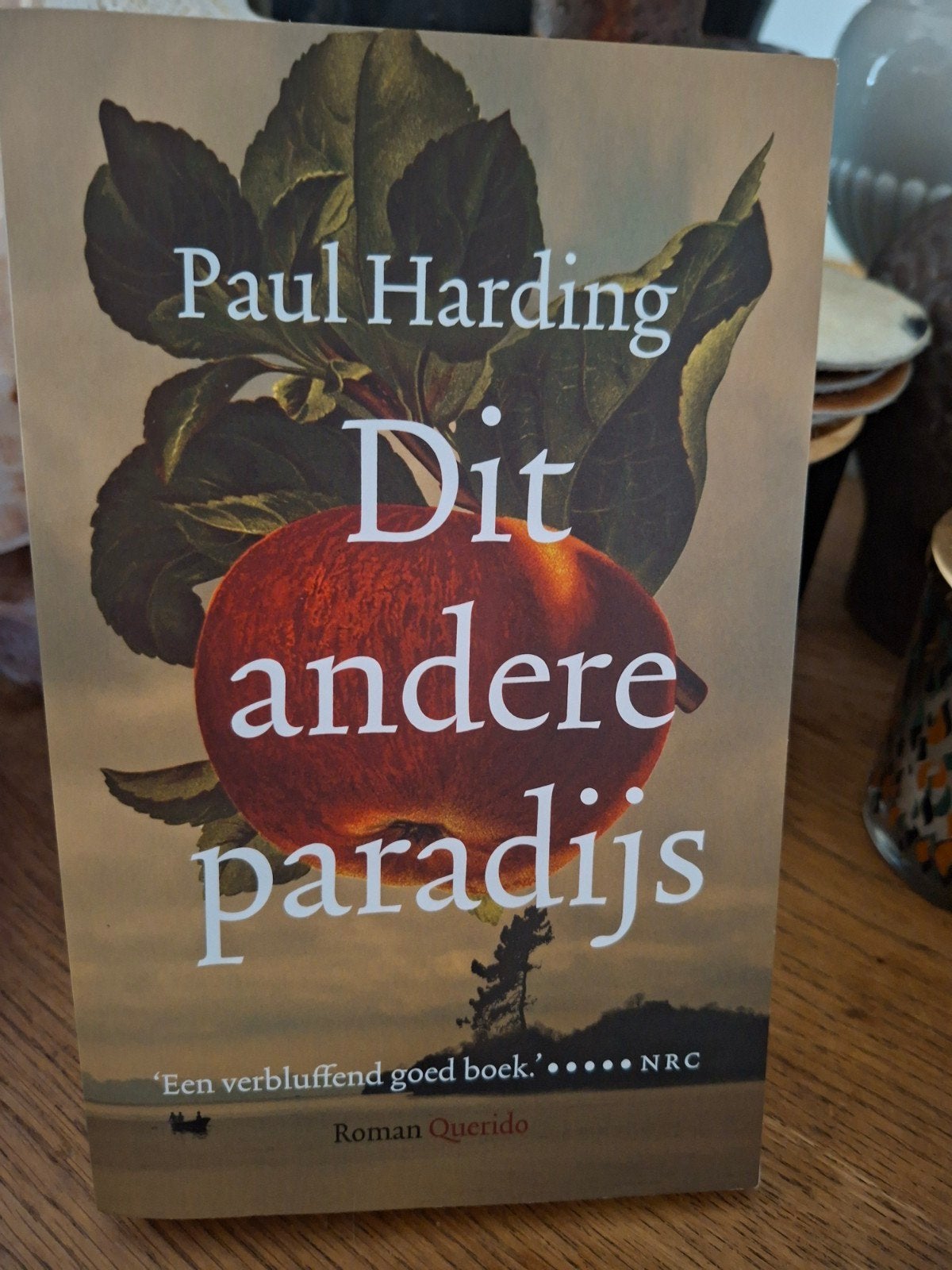 Paul Harding - Dit andere paradijs, Verzenden, Zo goed als nieuw, Paul Harding
