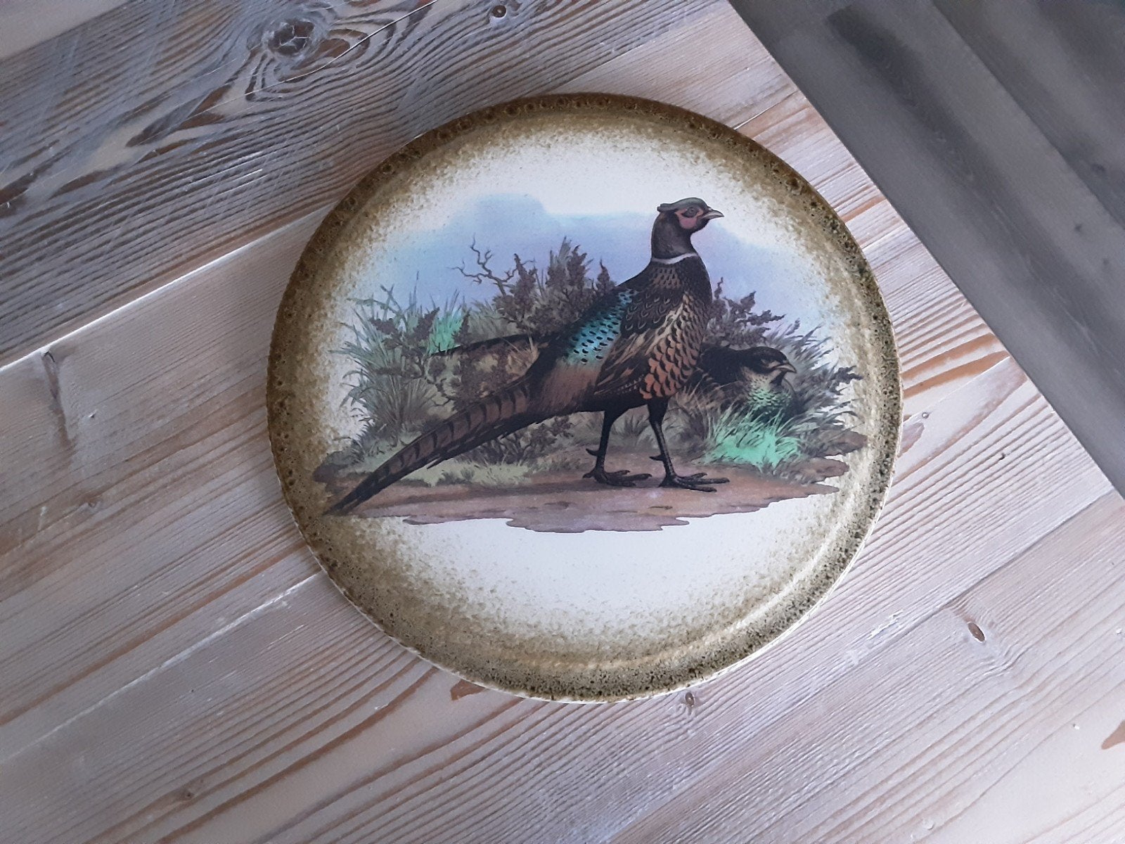 Leuk oud retro/vintage wandbord met fazant afbeelding., Ophalen of Verzenden