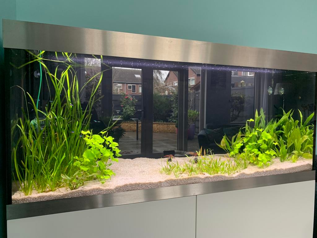Aquarium 140x50x63cm inclusief meubel, Dieren en Toebehoren, Vissen | Aquaria en Toebehoren, Ophalen, Zo goed als nieuw