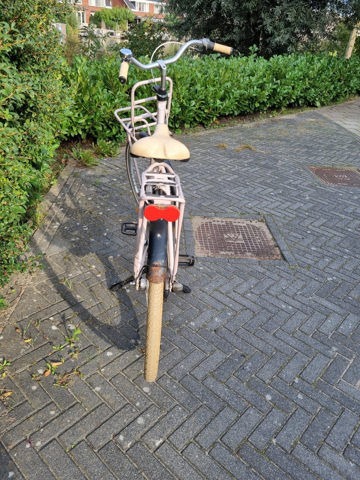 Foto 4 van Batavus Diva, damesfiets 56 cm