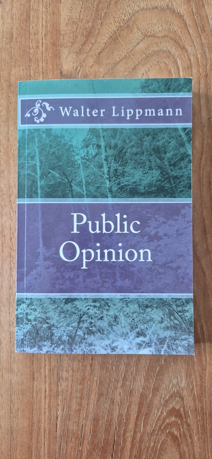 Public Opinion - Walter Lippmann (Engels), Ophalen of Verzenden, Zo goed als nieuw, Walter Lippmann, Amerika