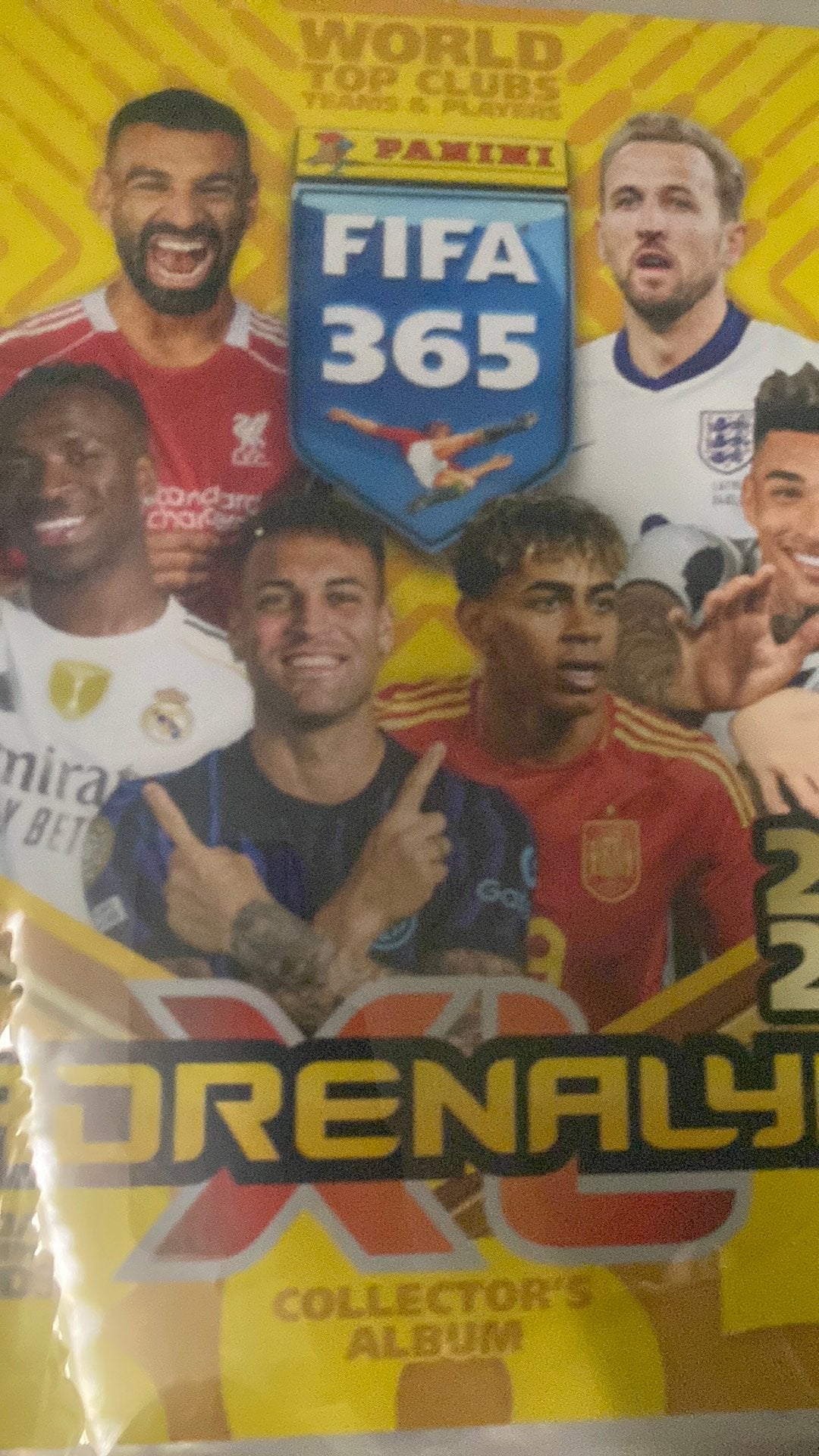 Voetbal boek mist 10 plaatjes, Ophalen, Zo goed als nieuw, Meerdere plaatjes