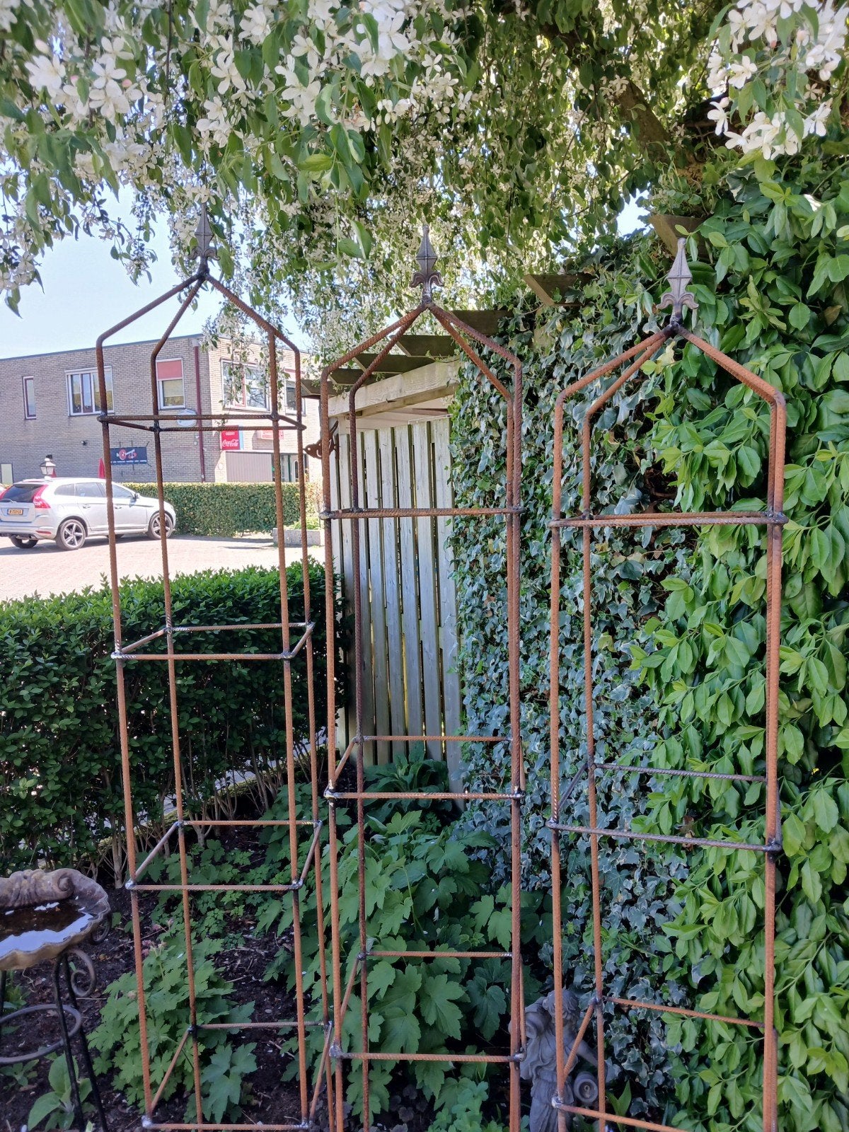 Metalen plantensteun voor klimplanten - Diverse maten, Volle zon, Eenjarig, Bloeit niet, Ophalen