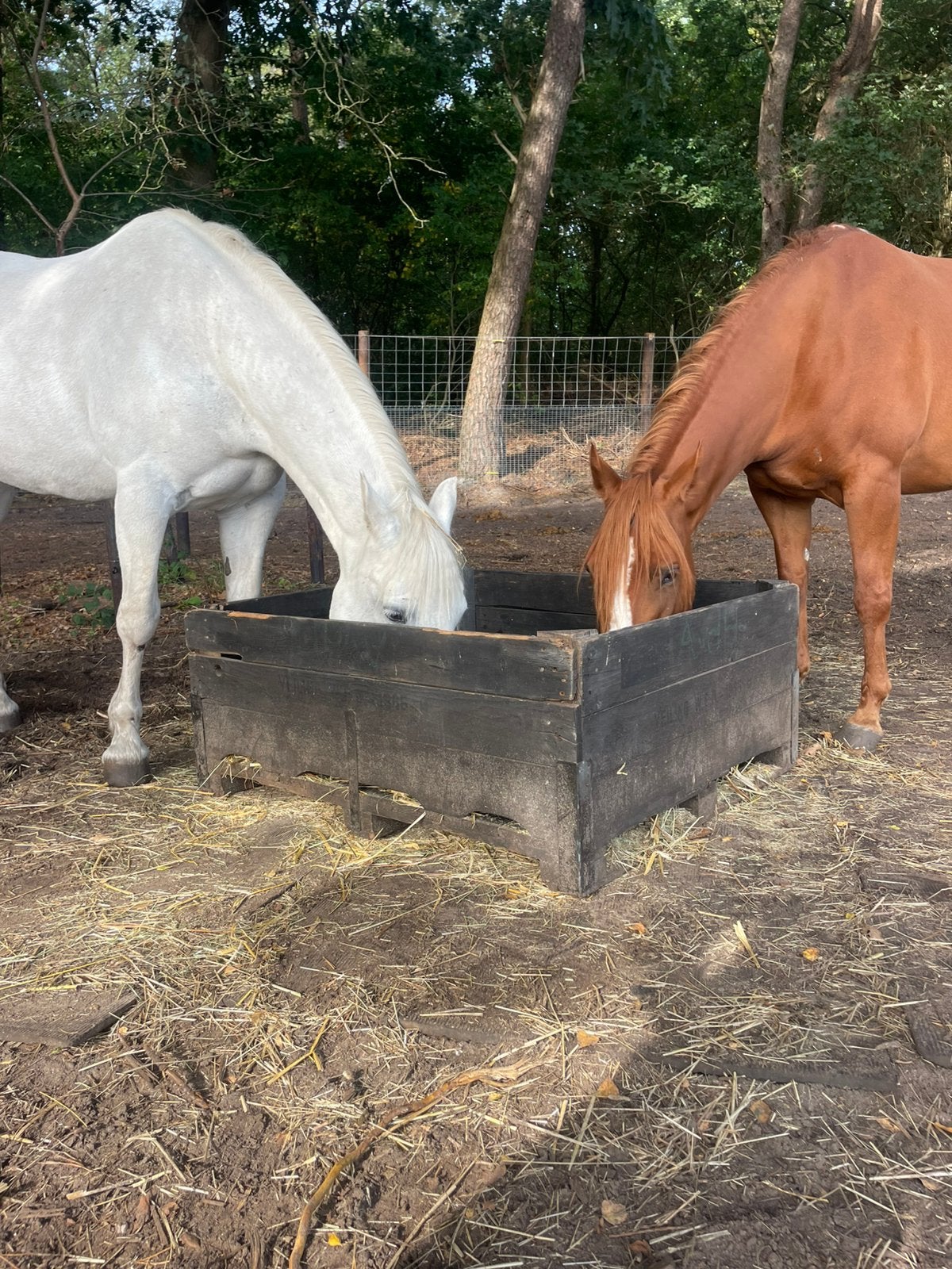 Hooi bakken paarden slowfeeder bakken, Toebehoren