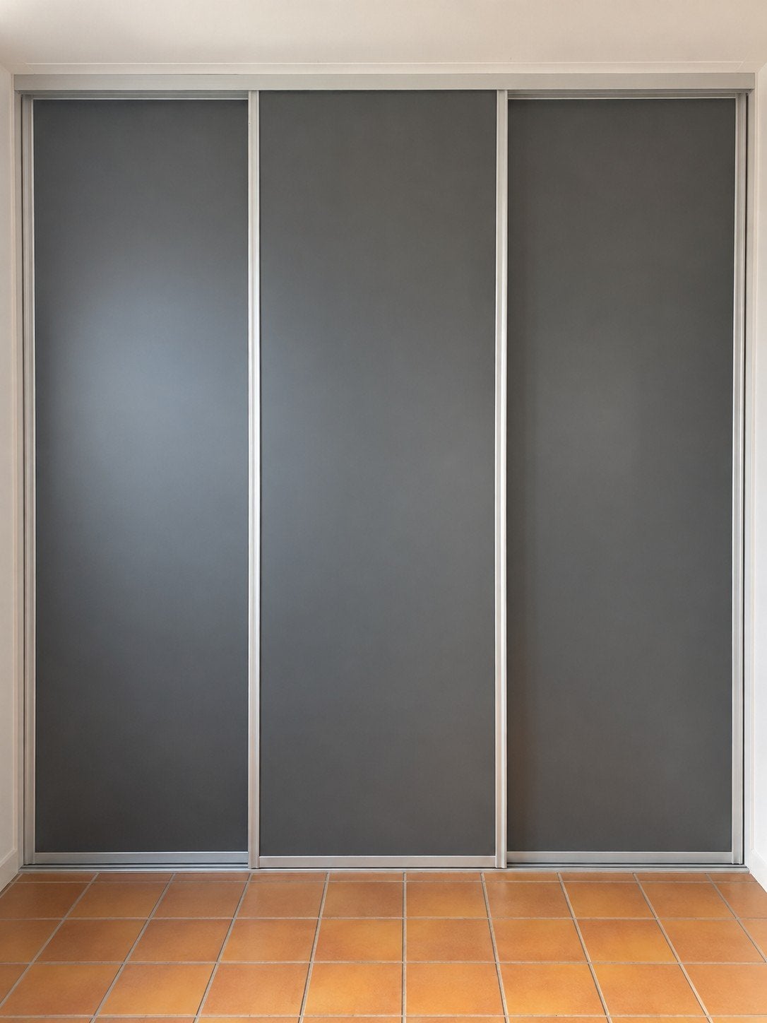 Schuifdeuren met rails: 250 x 240 cm - alleen t/m 26.09.2026, Ophalen of Verzenden, 25 tot 50 cm, 200 cm of meer, 200 cm of meer