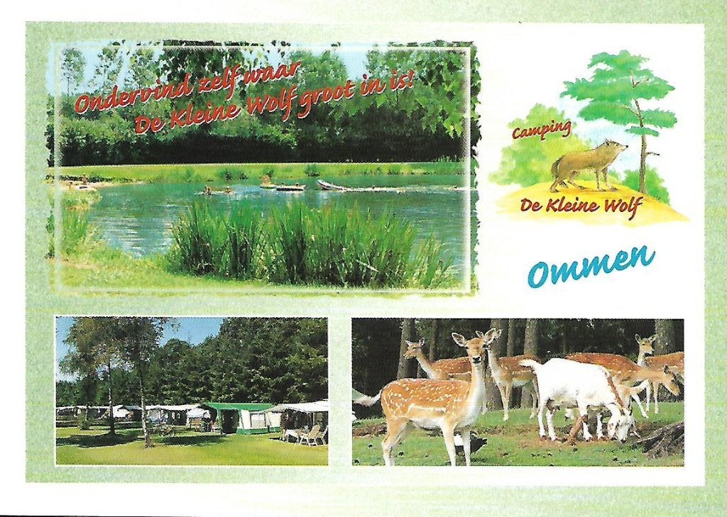 Ommen- -3-luik, De kleine Wolf., Ophalen of Verzenden, 1980 tot heden, Gelopen, Overijssel