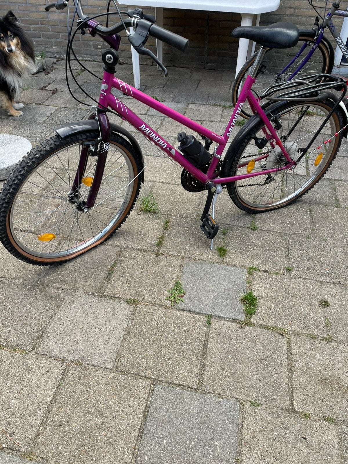 Dames Fiets, Ophalen, Overige merken