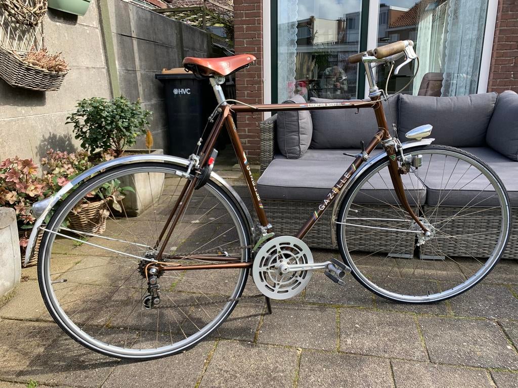 Gazelle Champion Mondial, Ophalen of Verzenden