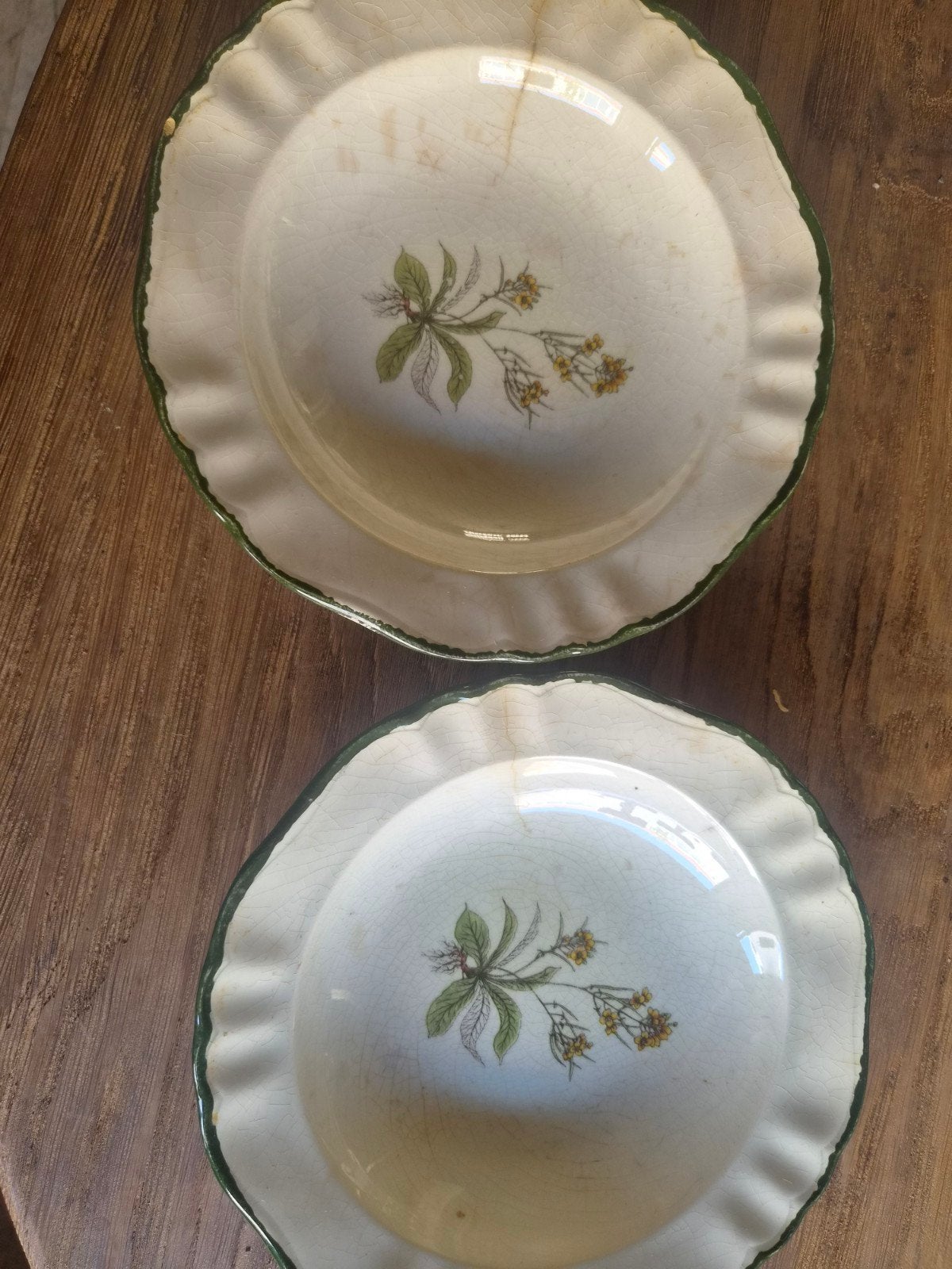 Set van 2 vintage Pagnossin Ironstone borden, Antiek en Kunst, Antiek | Servies los, Ophalen