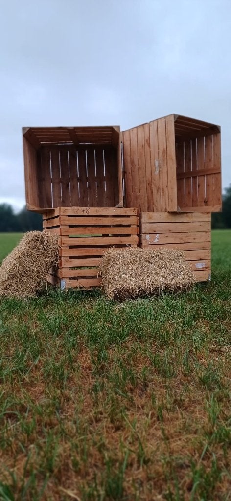 Robuuste multifunctionele houten opbergkist, Huis en Inrichting, Woonaccessoires | Kisten, Zo goed als nieuw, 75 cm of meer, 100 tot 125 cm