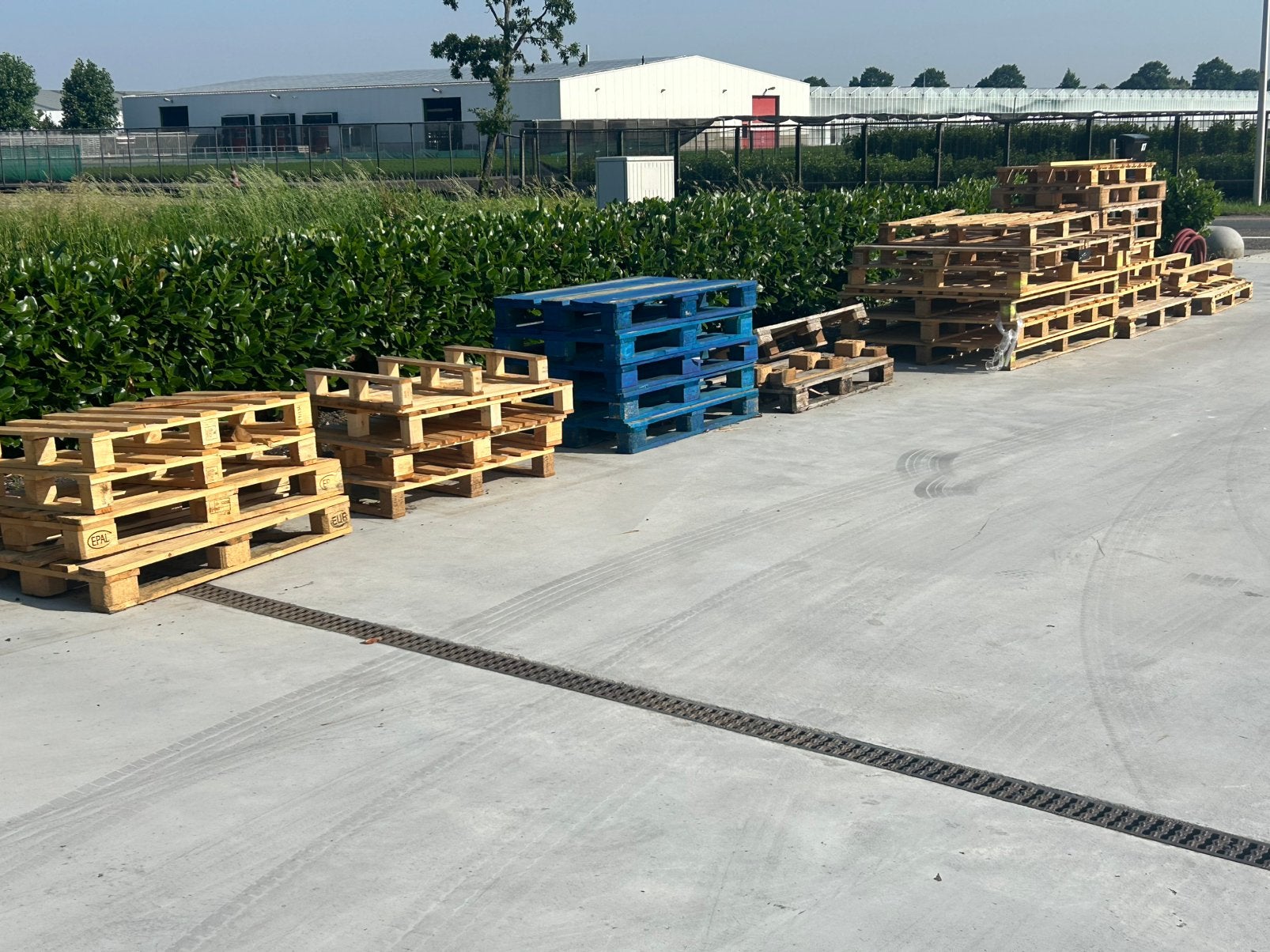Gratis af te halen diverse formaten pallets, Ophalen, Zo goed als nieuw, 50 mm of meer, Pallet