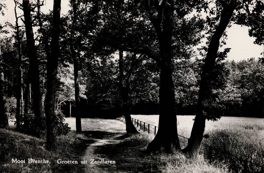 Zuidlaren – Bosweg. Gelopen Vaals 1962 Tekst., Ophalen of Verzenden, 1960 tot 1980, Gelopen, Drenthe