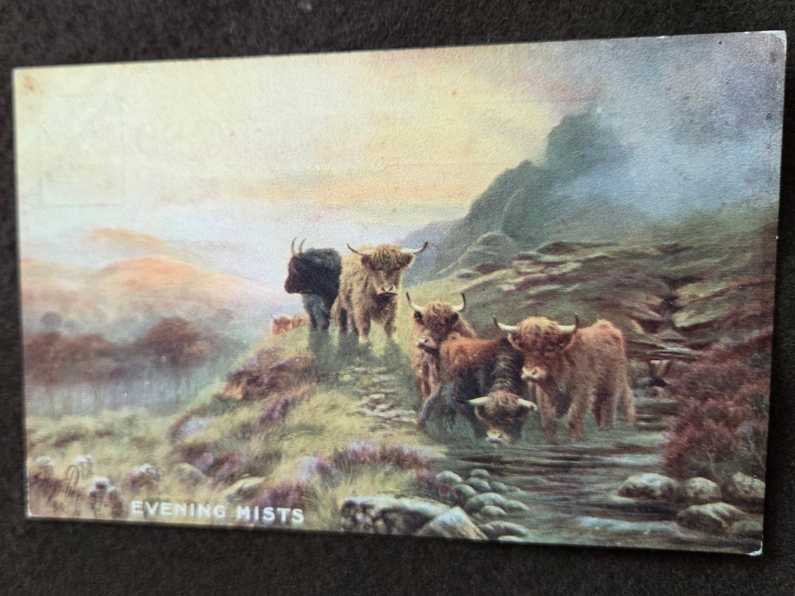Antieke Ansichtkaart: Schotse Hooglanders in de Mist, Verzamelen, Verzenden, Voor 1920, Ongelopen, Overige thema's