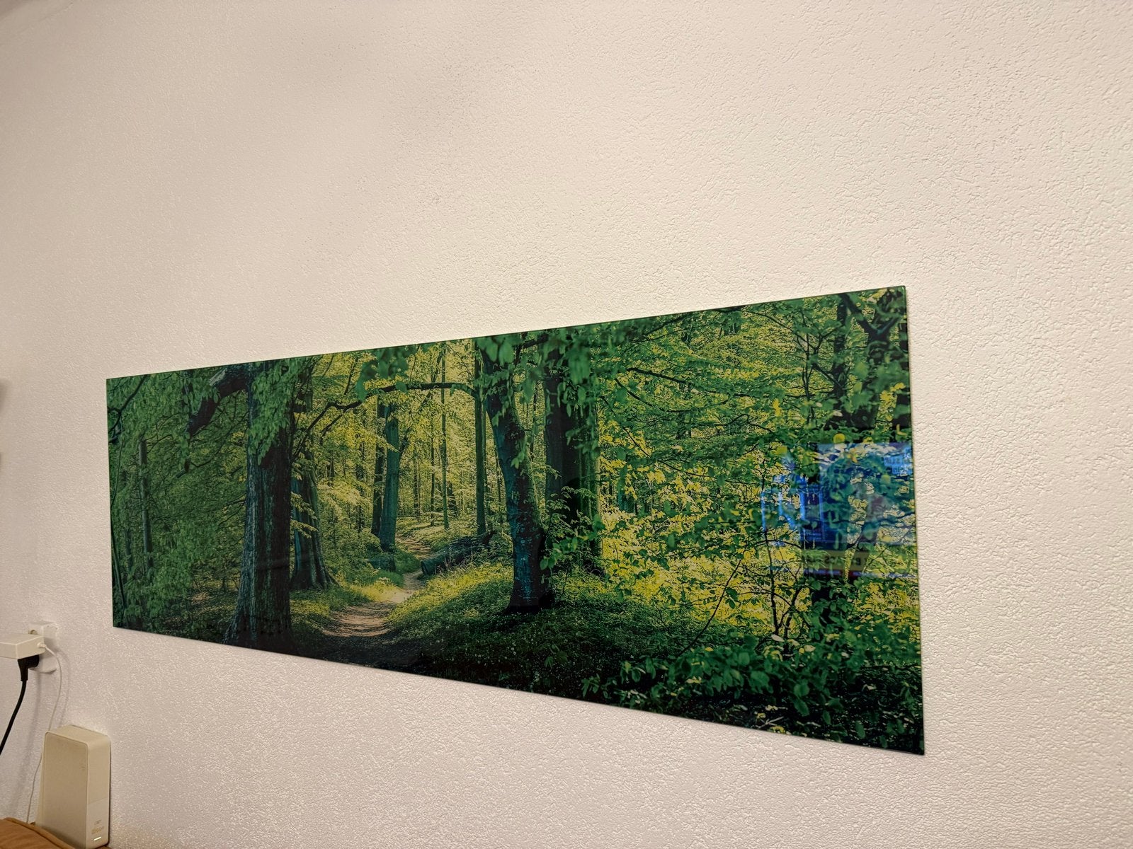 Prachtige bosfoto op plexiglas - Natuurlijke sfeer, Huis en Inrichting, Woonaccessoires | Schilderijen, Tekeningen en Foto's, Ophalen