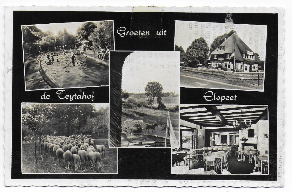 Elspeet De Feijtahof Gelopen ansichtkaart ( B7208), Ophalen of Verzenden, 1960 tot 1980, Gelopen