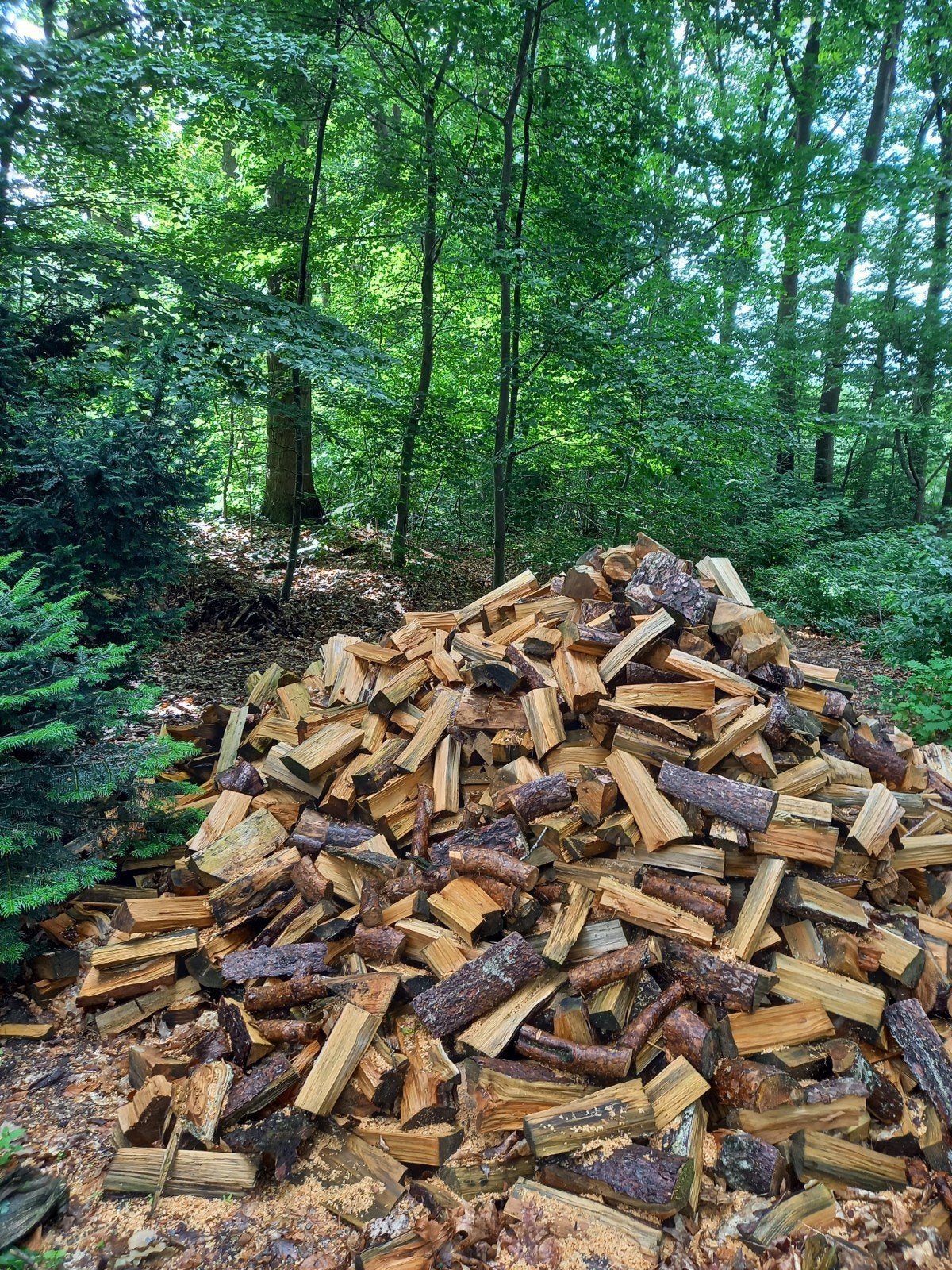 Gekloofd haardhout vanaf 2 kuub gratis bezorgd in Zeist, Tuin en Terras, Haardhout, Minder dan 3 m³, Ophalen