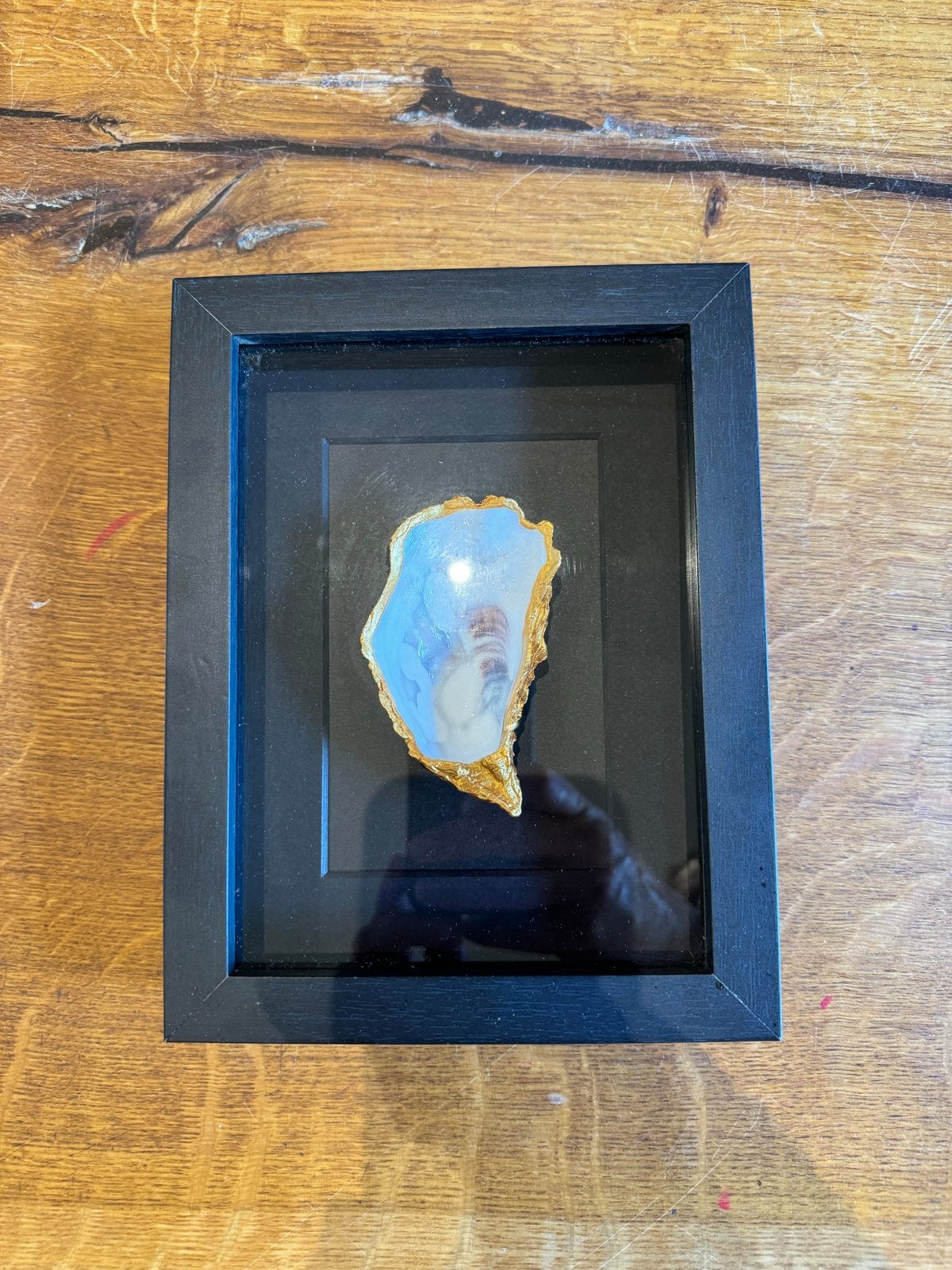Ingelijste oesterschelp - Uniek decoratiestuk, Zo goed als nieuw, Met glas, Zwart, Hout