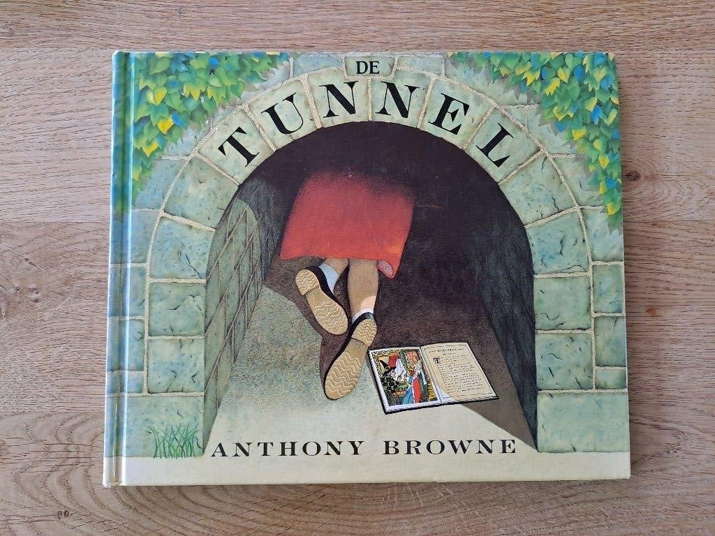 DE TUNNEL. ANTHONY BROWN, Boeken, Gelezen, Fictie algemeen, Anthony Brown, Ophalen of Verzenden