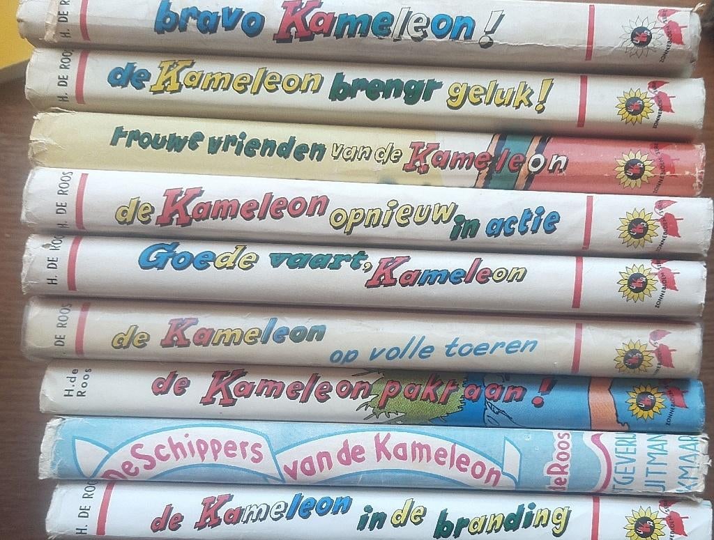 Mooi pakket Kameleon boeken met stofomslag !, Ophalen of Verzenden, Gelezen, Hotze de Roos, Non-fictie