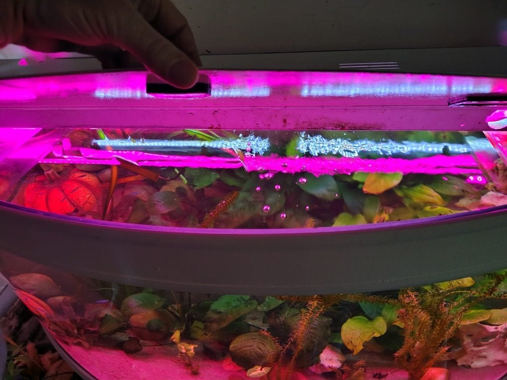 gratis compleet  aquarium 363 liter, Ophalen, Gebruikt, Gevuld zoetwateraquarium, Aquatlantis